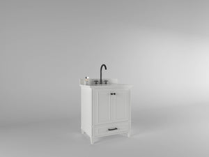 Windsor 29.5 in All Wood Vanity in Bright White - Cabinet Only