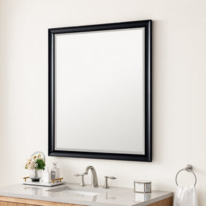 Glenbrooke 36" Mirror, Black Onyx