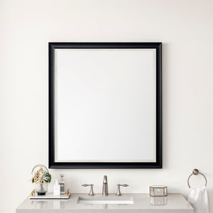 Glenbrooke 36" Mirror, Black Onyx