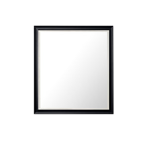 Glenbrooke 36" Mirror, Black Onyx